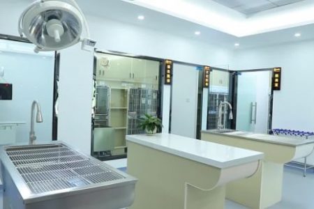 ZQr4qeQES2zeGZqsFGA-304835548791-mp4-264-hd-mp4