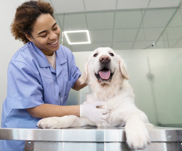 medium-shot-smiley-doctor-checking-dog