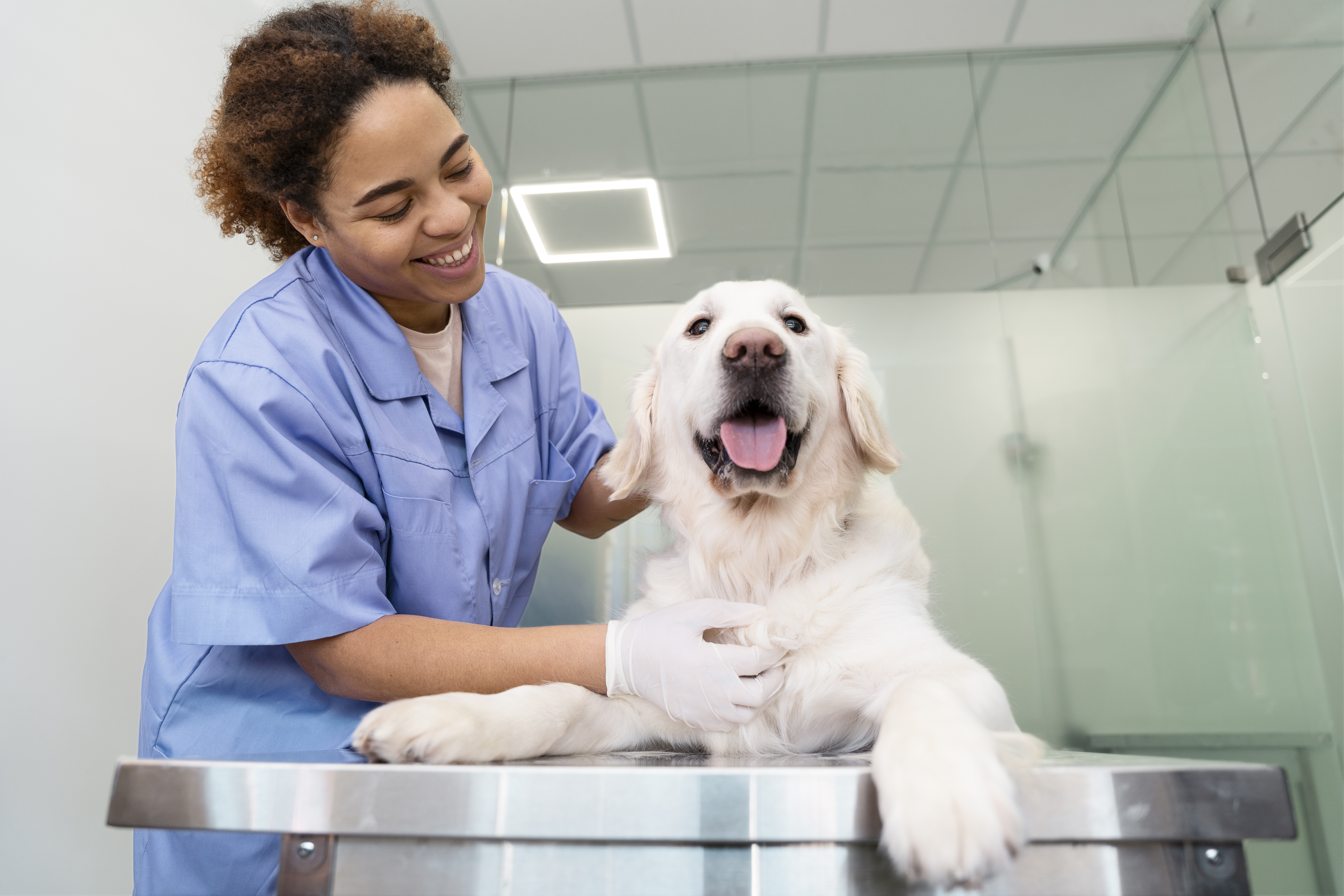 medium-shot-smiley-doctor-checking-dog